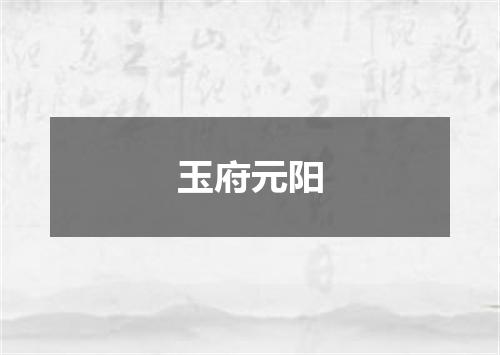 玉府元阳