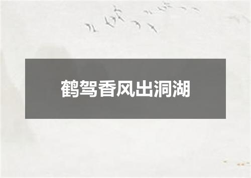 鹤驾香风出洞湖