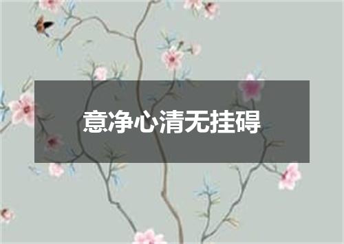 意净心清无挂碍