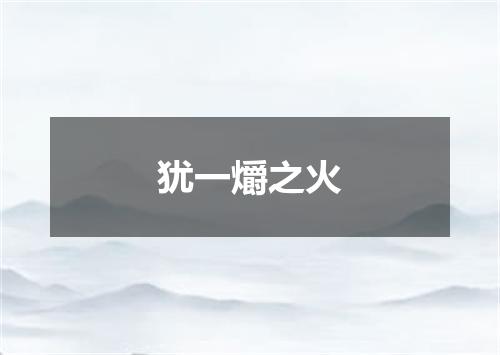 犹一爝之火