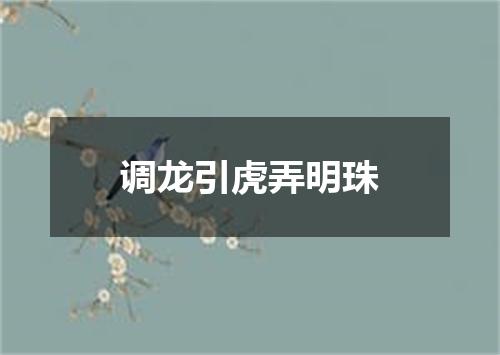 调龙引虎弄明珠