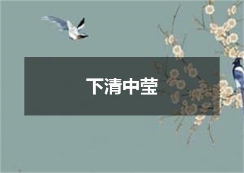 下清中莹