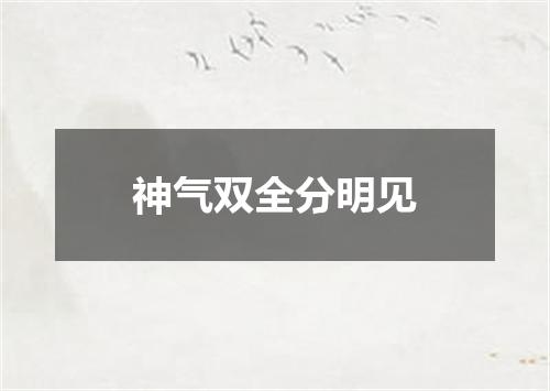 神气双全分明见