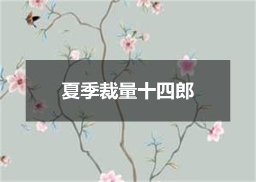 夏季裁量十四郎