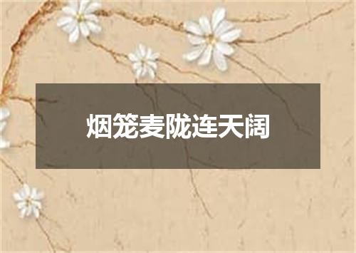 烟笼麦陇连天阔