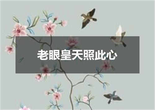 老眼皇天照此心