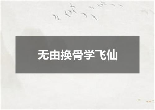 无由换骨学飞仙