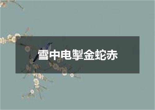 雪中电掣金蛇赤