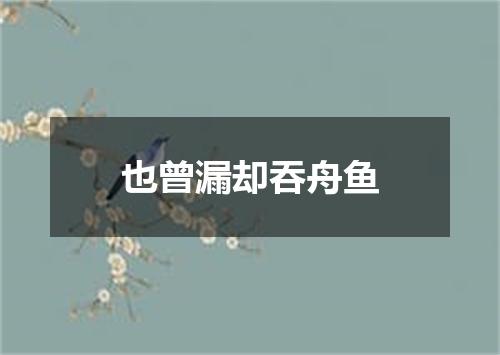 也曾漏却吞舟鱼