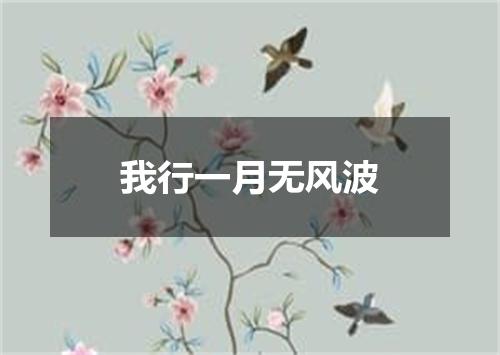 我行一月无风波