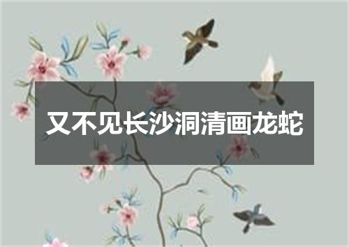 又不见长沙洞清画龙蛇