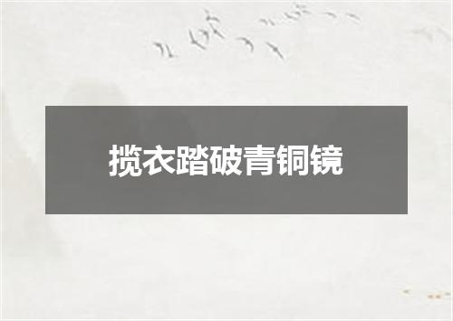 揽衣踏破青铜镜