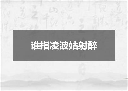 谁指凌波姑射醉