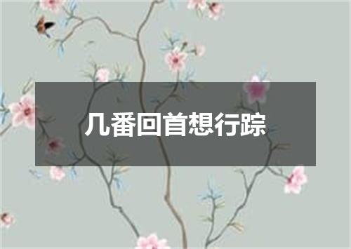 几番回首想行踪