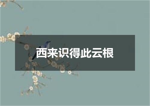 西来识得此云根
