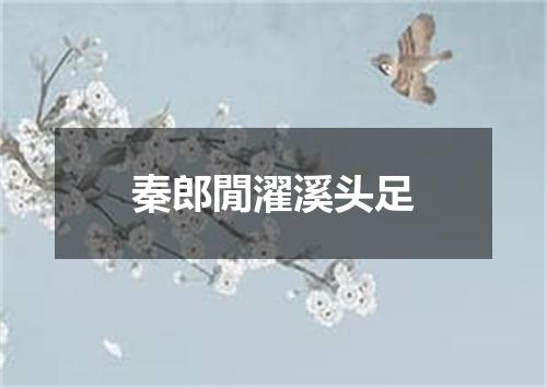 秦郎閒濯溪头足