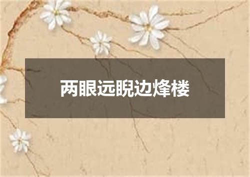 两眼远睨边烽楼