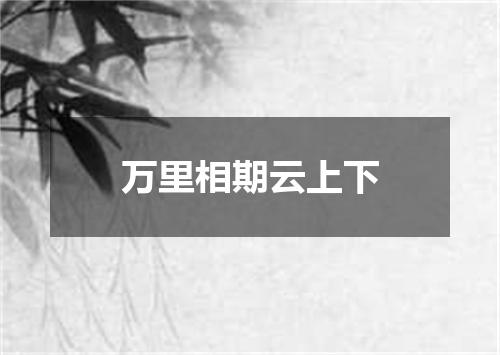 万里相期云上下