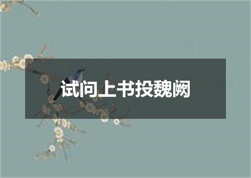 试问上书投魏阙