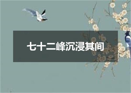 七十二峰沉浸其间
