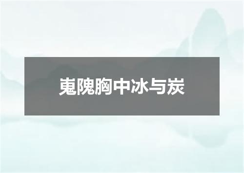 嵬隗胸中冰与炭