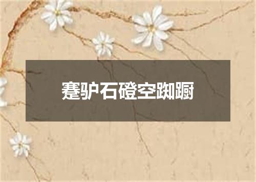 蹇驴石磴空踟蹰