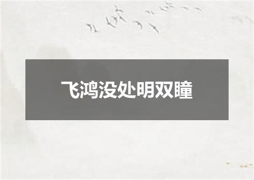 飞鸿没处明双瞳