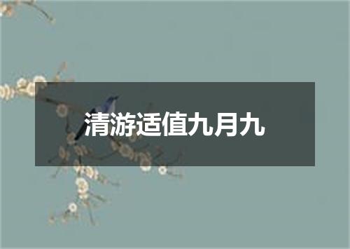 清游适值九月九