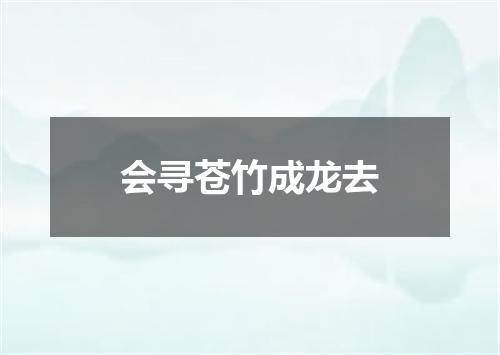 会寻苍竹成龙去