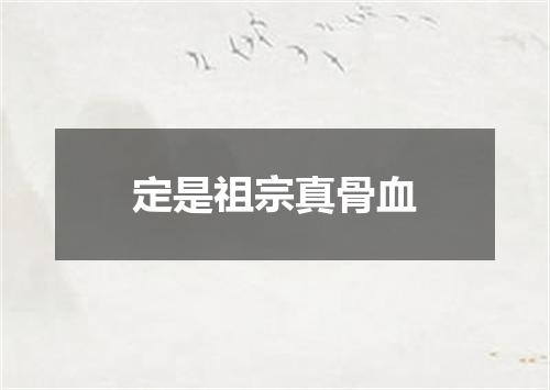 定是祖宗真骨血