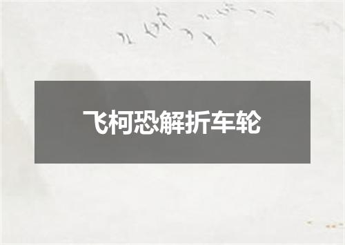飞柯恐解折车轮