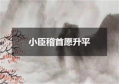 小臣稽首愿升平