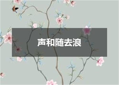 声和随去浪