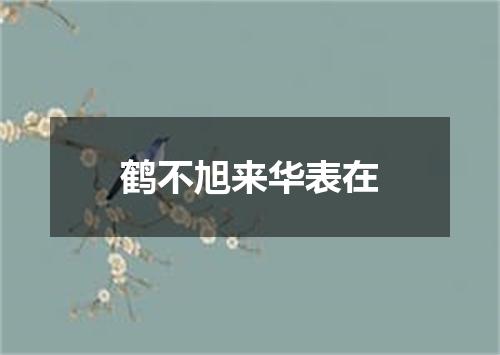 鹤不旭来华表在