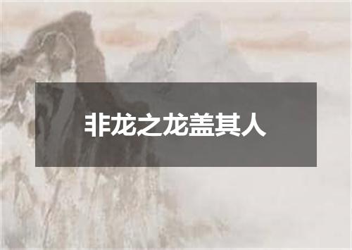 非龙之龙盖其人
