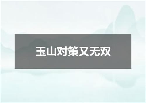 玉山对策又无双