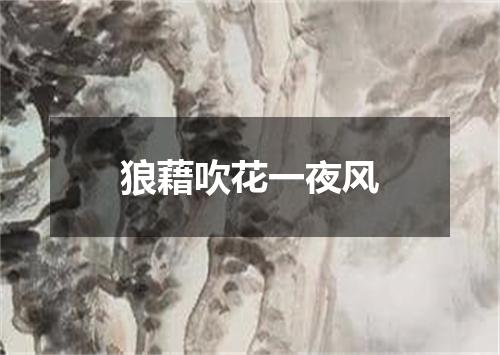 狼藉吹花一夜风