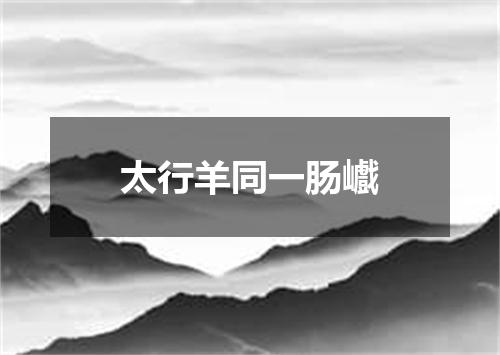 太行羊同一肠巇