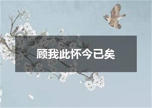 顾我此怀今已矣