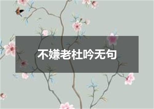 不嫌老杜吟无句