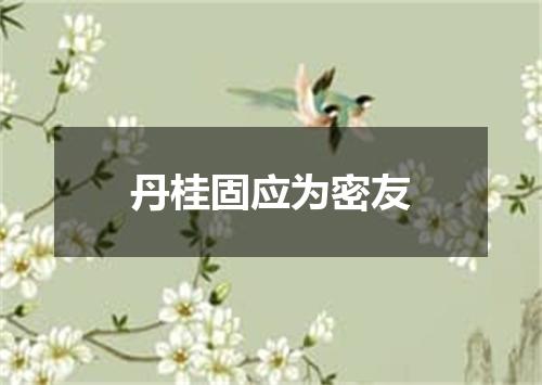 丹桂固应为密友