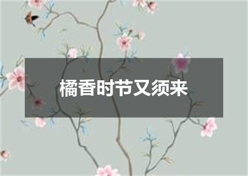 橘香时节又须来