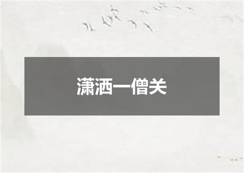 潇洒一僧关
