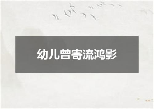 幼儿曾寄流鸿影