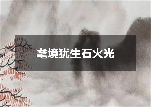 耄境犹生石火光