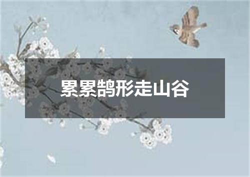 累累鹄形走山谷