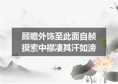 顾瞻外饰至此面自赪摸索中襟凄其汗如滂