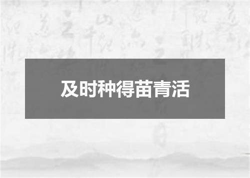 及时种得苗青活