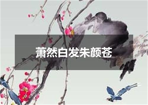 萧然白发朱颜苍