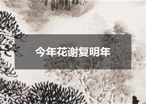 今年花谢复明年